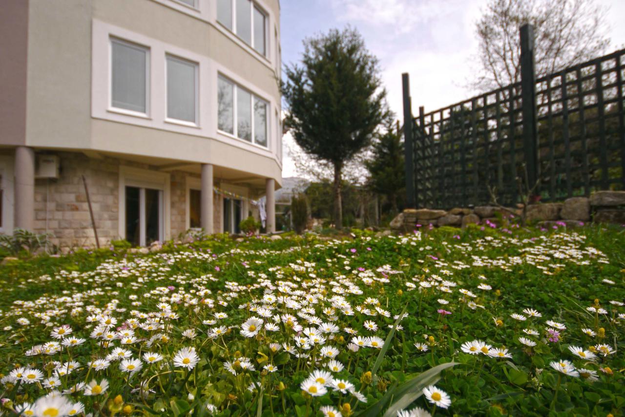 Mirta Apartments Family Farm Budva Eksteriør bilde