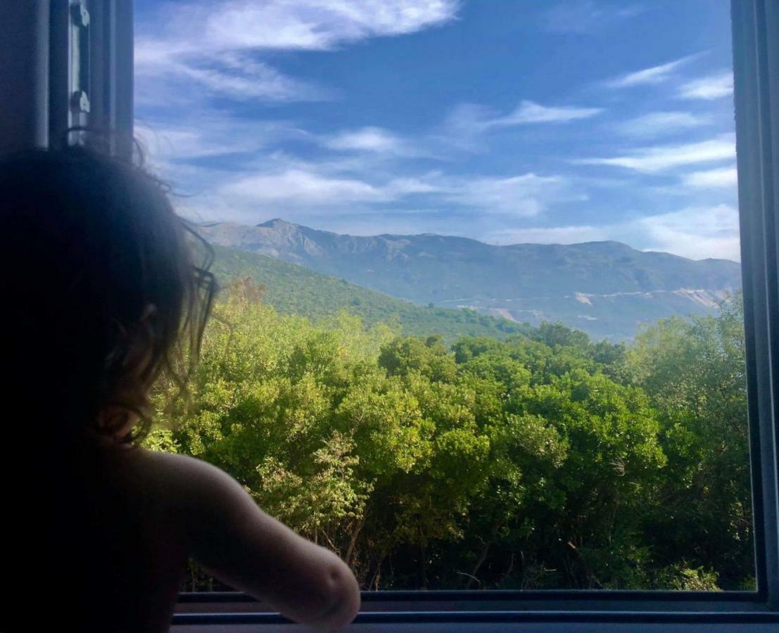 Mirta Apartments Family Farm Budva Eksteriør bilde